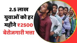 Berojgari Bhatta Yojana 2025: 2.5 लाख युवाओं का सपना होगा सच, हर महीने ₹2500 फ्री में