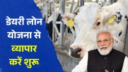 डेयरी फार्म बिजनेस लोन योजना के आवेदन फॉर्म भरना शुरू Dairy Farm Business Loan