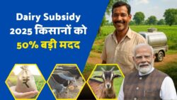 छोटे किसानों के लिए 50% तक की भारी मदद, सरकार ने आसान आवेदन प्रक्रिया भी शुरू की – Dairy Farming Subsidy 2025