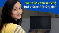 Mukhyamantri Work From Home Yojana 2025: महिलाओं को मिल रहा घर बैठे काम सैलरी ₹25000 महीना, ऐसे करे आवेदन