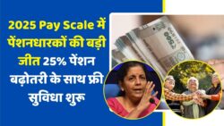 पेंशनधारकों की बल्ले-बल्ले! New Pay Scale 2025 में 25% हाइक के साथ मिल रहा है ये अनोखा फ्री बेनिफिट