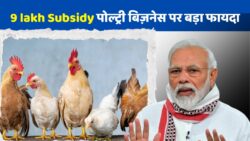 9 लाख Subsidy और 33% Bonus का जबरदस्त फ़ायदा लेने का सुनहरा मौका, किसान जल्दी आवेदन करें – Poultry Business Subsidy 2025